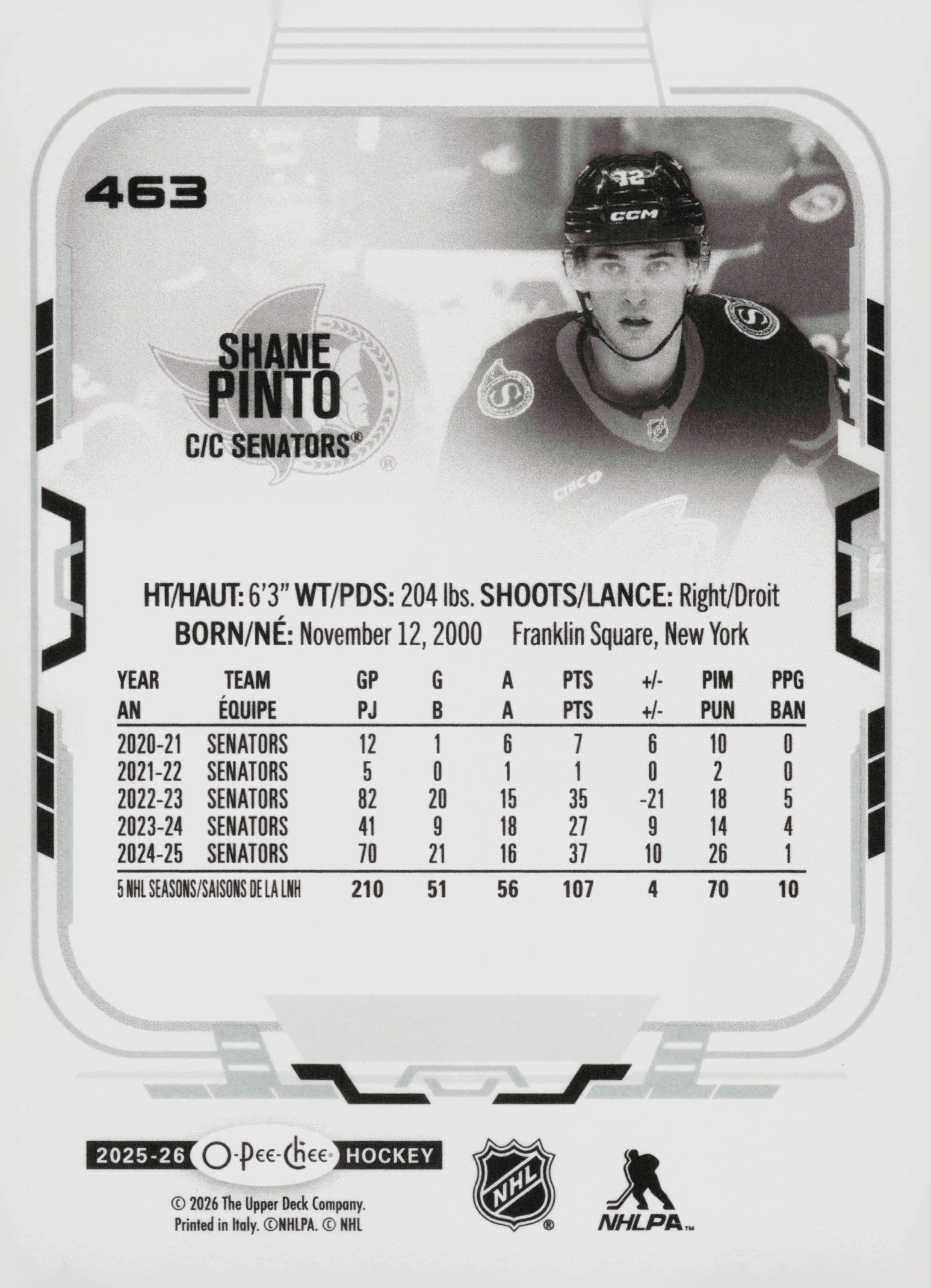 Shane Pinto back